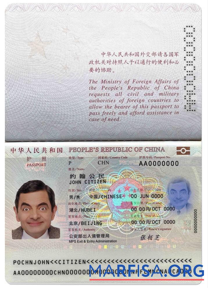 Realistic China passport (2013 present) sample